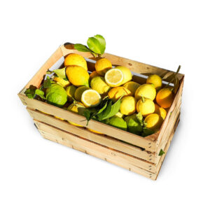 Citrons de Sicile 5kg